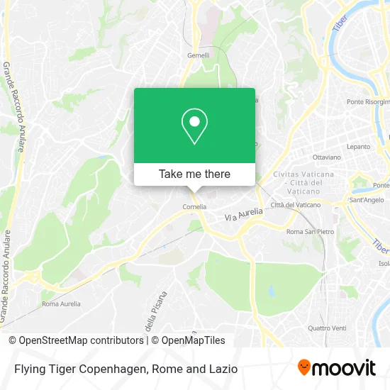 Flying Tiger Copenhagen map