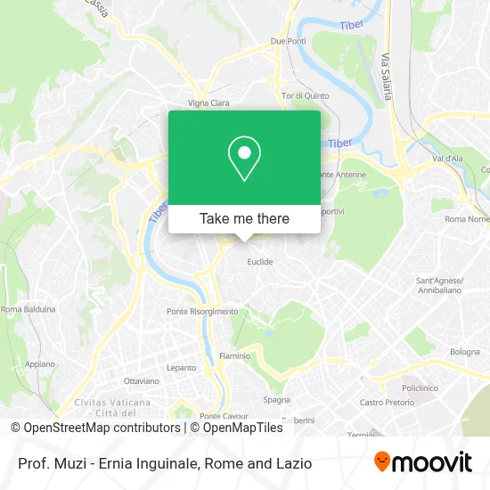 Prof. Muzi - Ernia Inguinale map