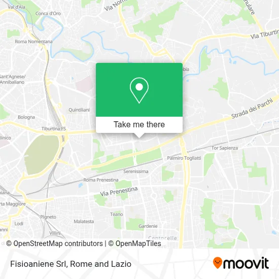 Fisioaniene Srl map