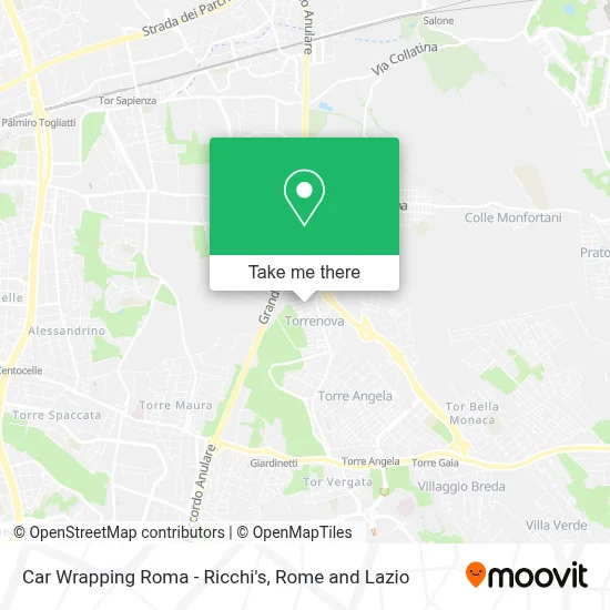 Car Wrapping Roma - Ricchi's map