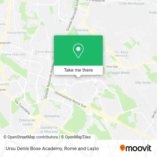 Ursu Denis Boxe Academy map