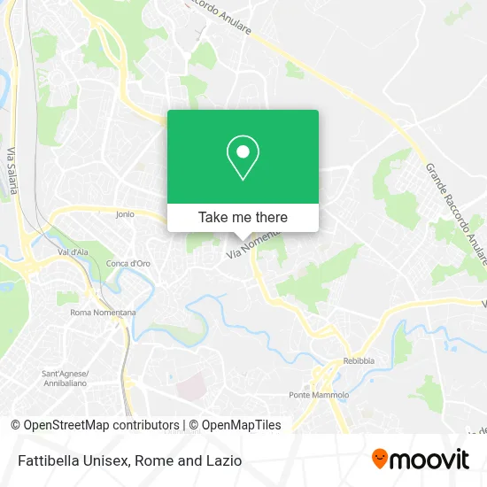Fattibella Unisex map