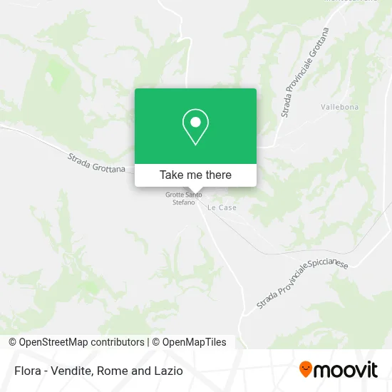 Flora - Vendite map