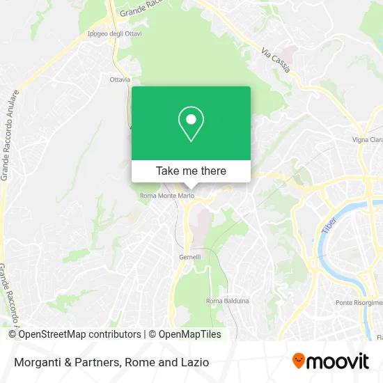 Morganti & Partners map