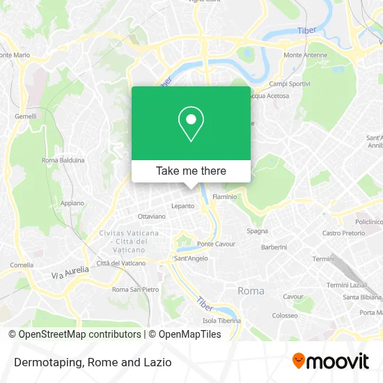 Dermotaping map