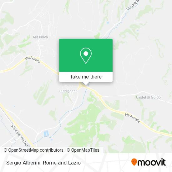 Sergio Alberini map