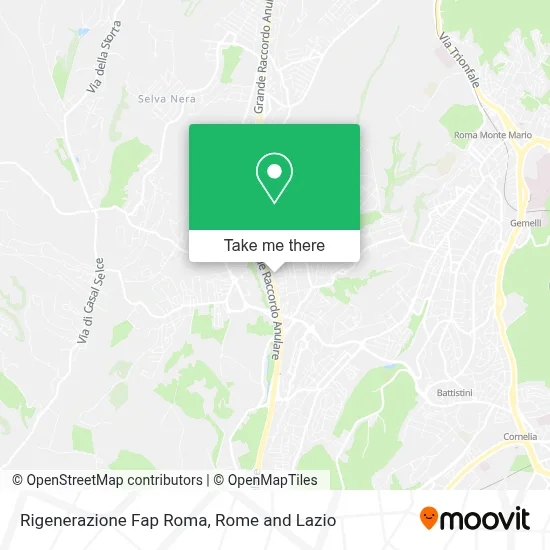 Rigenerazione Fap Roma map
