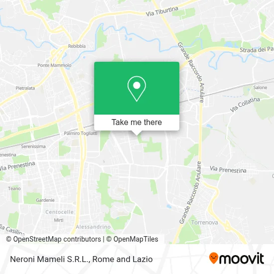 Neroni Mameli S.R.L. map