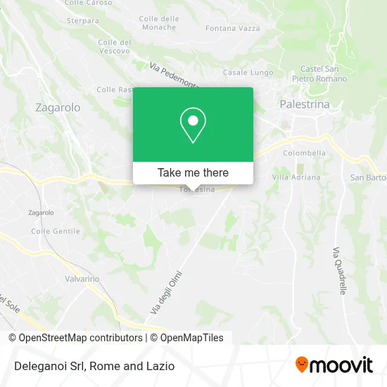 Deleganoi Srl map