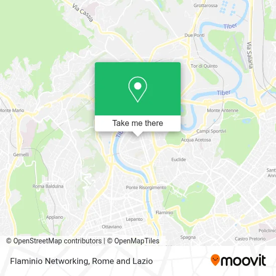 Flaminio Networking map