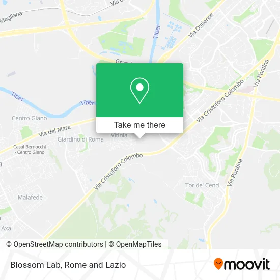 Blossom Lab map