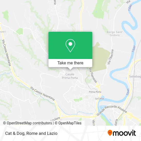 Cat & Dog map