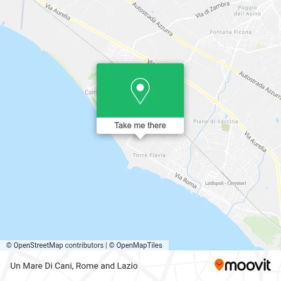 Un Mare Di Cani map