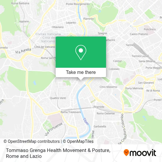 Tommaso Grenga Health Movement & Posture map