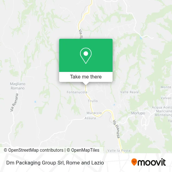 Dm Packaging Group Srl map