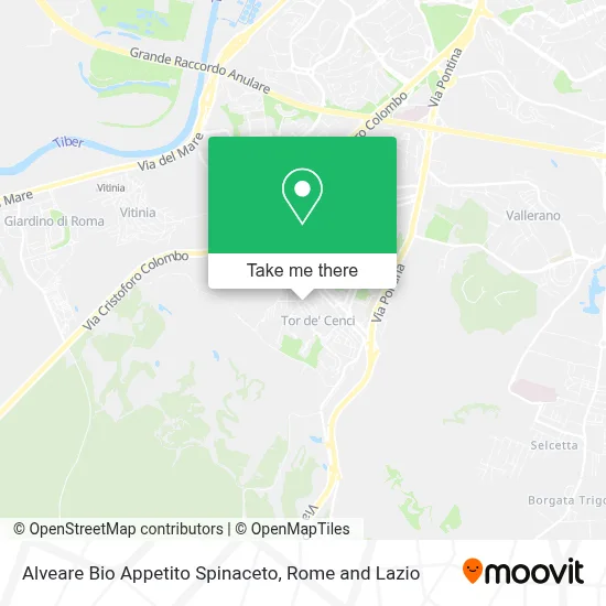 Alveare Bio Appetito Spinaceto map