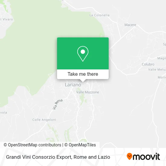 Grandi Vini Consorzio Export map