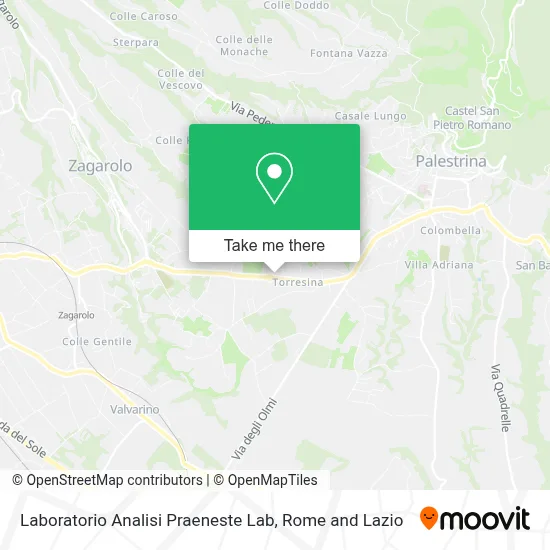 Laboratorio Analisi Praeneste Lab map