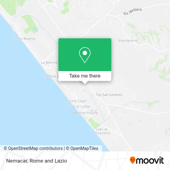 Nemacar map