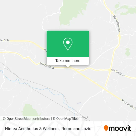 Ninfea Aesthetics & Wellness map