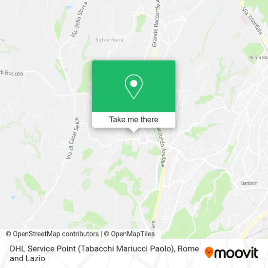 DHL Service Point (Tabacchi Mariucci Paolo) map