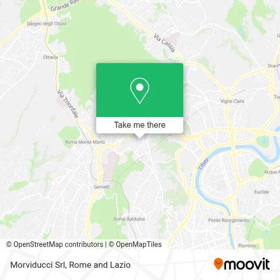 Morviducci Srl map