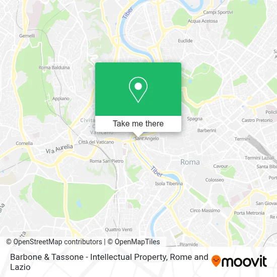 Barbone & Tassone - Intellectual Property map