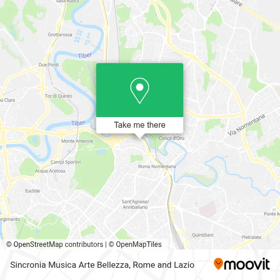 Sincronia Musica Arte Bellezza map