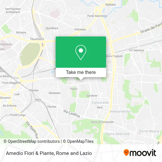 Amedio Fiori & Piante map