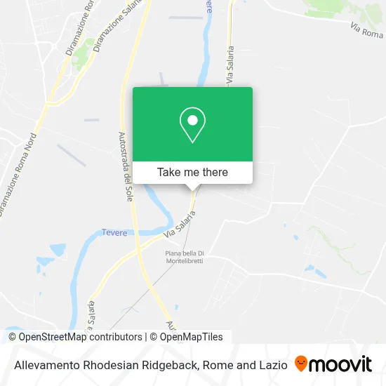 Allevamento Rhodesian Ridgeback map