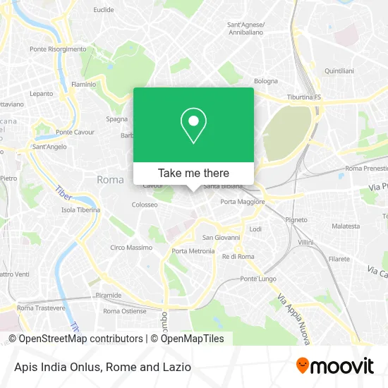Apis India Onlus map