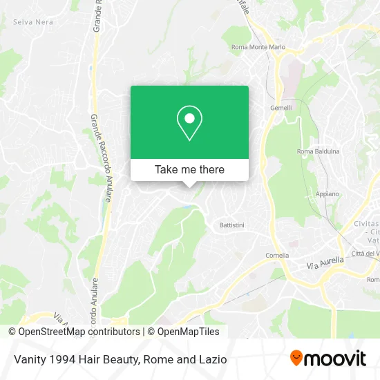 Vanity 1994 Hair Beauty map