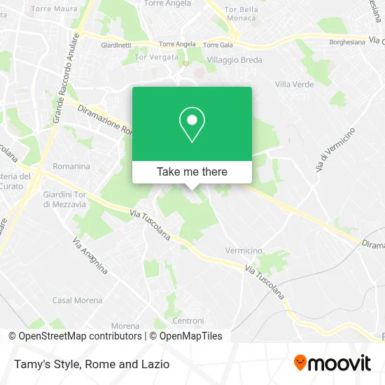 Tamy's Style map