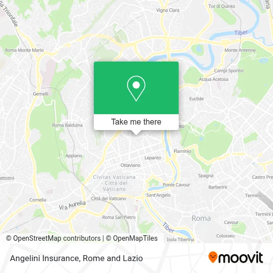 Angelini Insurance map