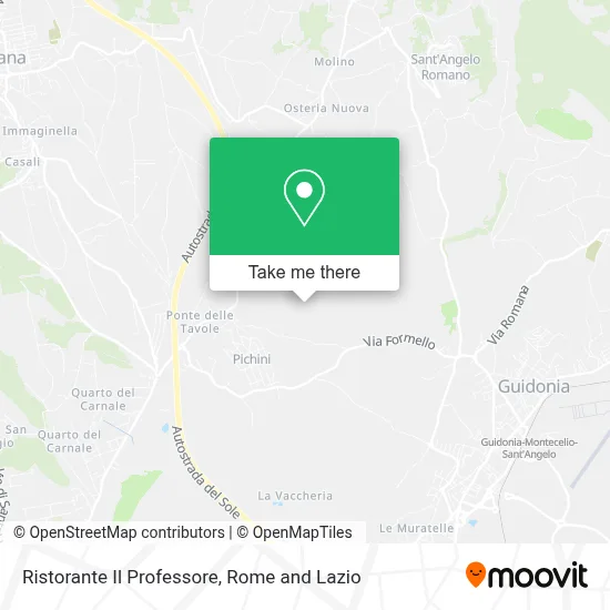 Ristorante Il Professore map