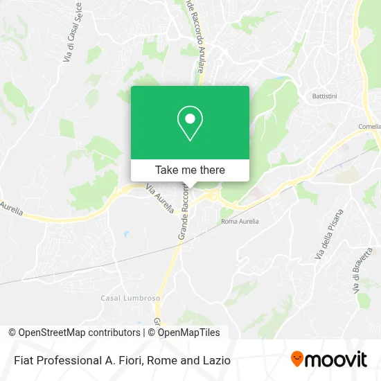 Fiat Professional A. Fiori map