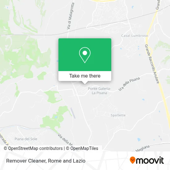 Remover Cleaner map