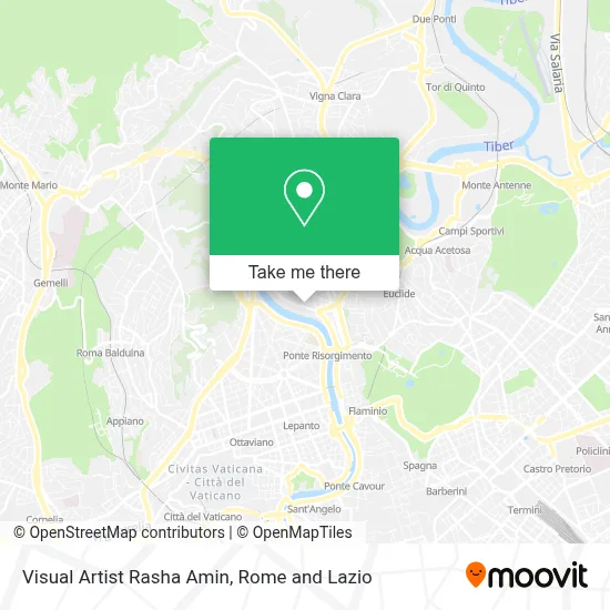 Visual Artist Rasha Amin map