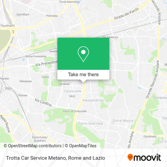 Trotta Car Service Metano map