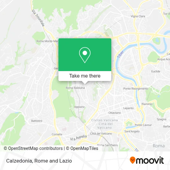 Calzedonia map