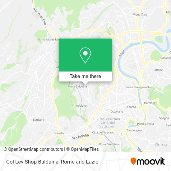 Col Lev Shop Balduina map