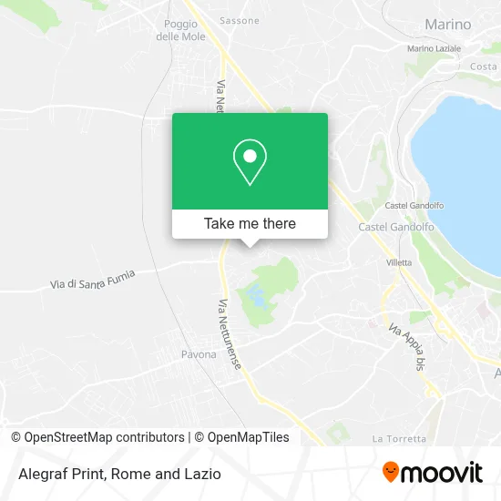 Alegraf Print map