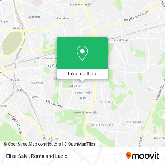 Elisa Salvi map