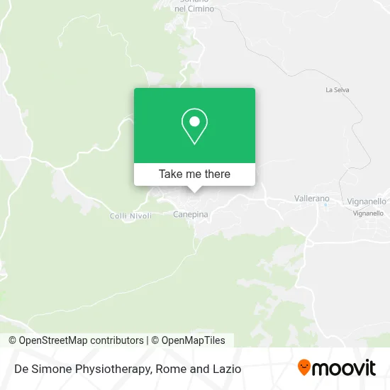 De Simone Physiotherapy map