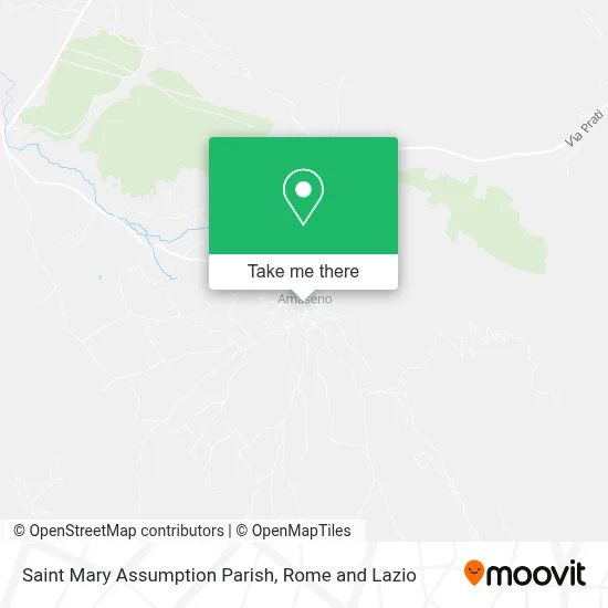 Saint Mary Assumption Parish map