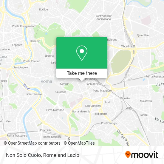 Non Solo Cuoio map