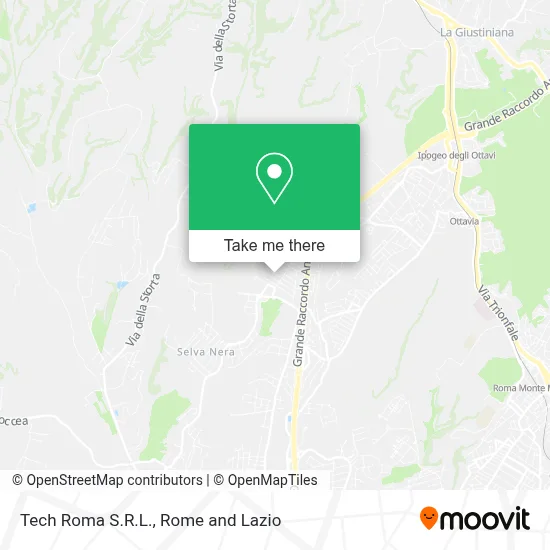 Tech Roma S.R.L. map