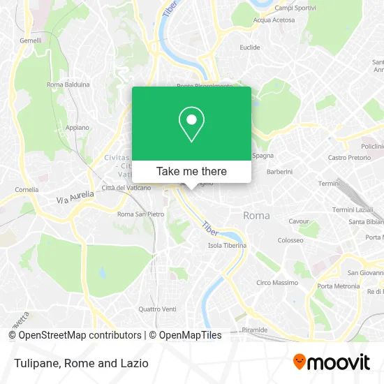 Tulipane map