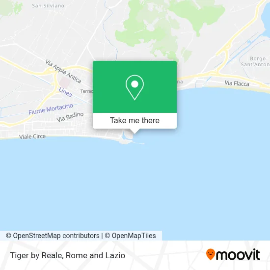 Tiger by Reale map