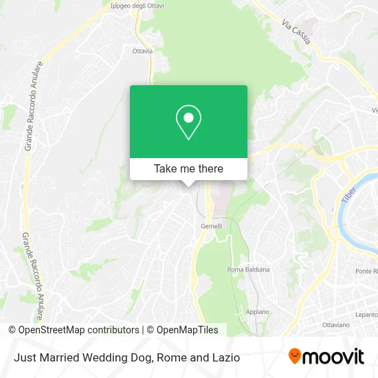 Just Married Wedding Dog map